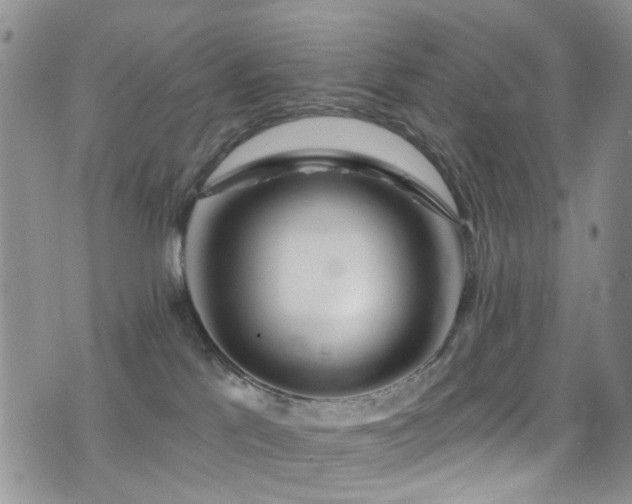 X0000077350041200610201336