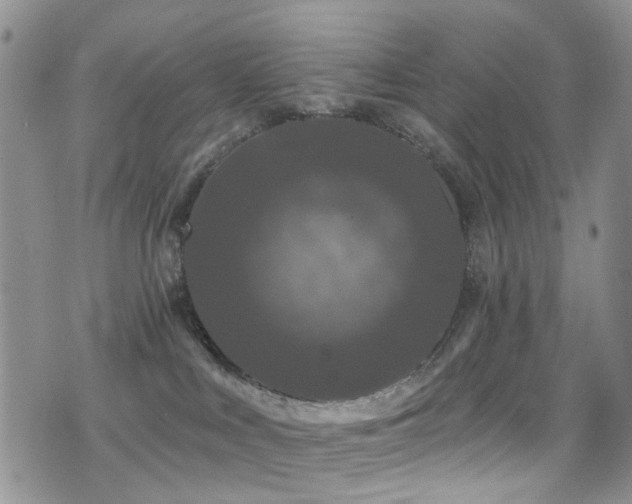 X0000077350043200610201336
