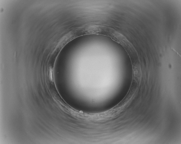X0000077350046200610201336