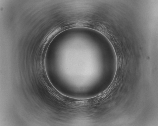 X0000077350050200610201335