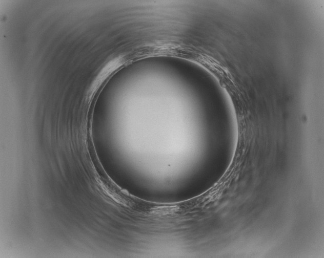X0000077350051200610201335