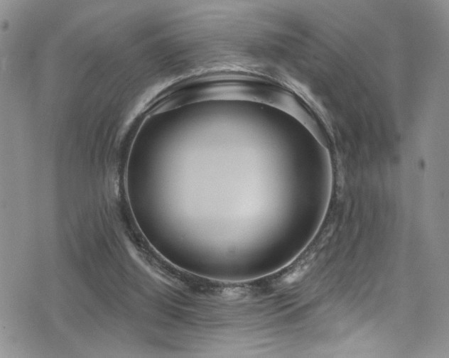 X0000077350060200610201335