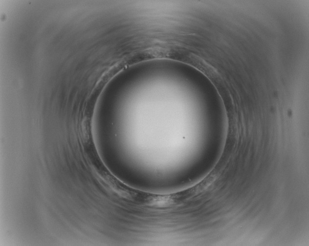 X0000077350088200610201335
