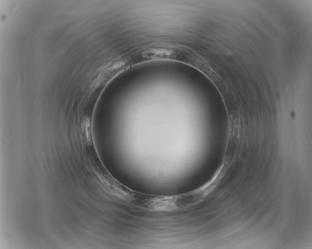 X0000077350094200610201335