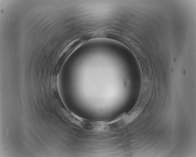 X0000077350096200610201335