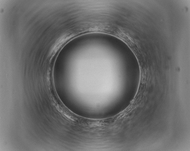 X0000077350098200610201335