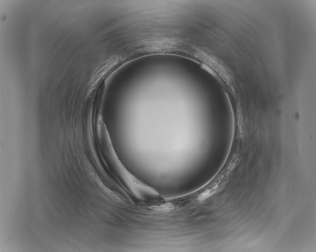 X0000077350105200610201335