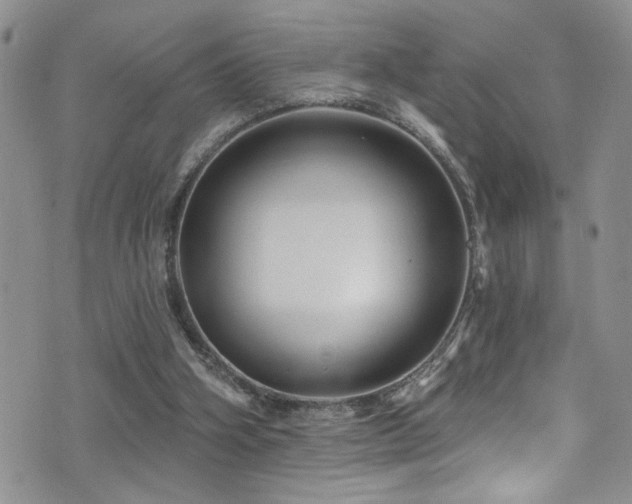 X0000077350106200610201335