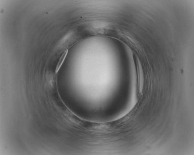 X0000077350125200610201334