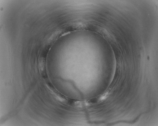 X0000077350133200610201334