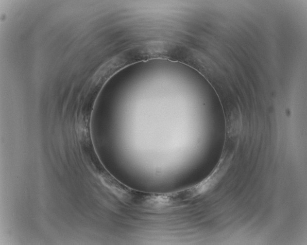 X0000077350140200610201334