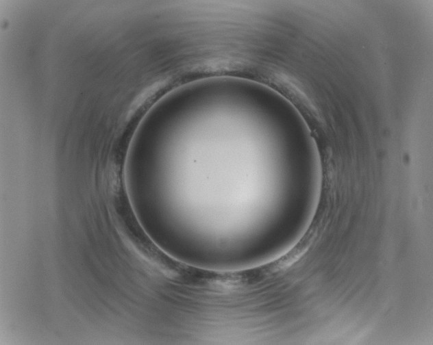 X0000077350164200610201333