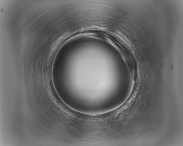 X0000077350193200610201333