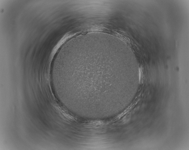 X0000077350195200610201333