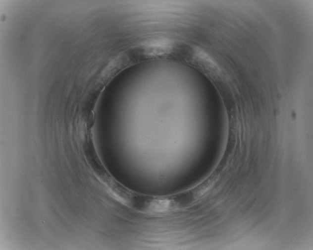 X0000077350227200610201333