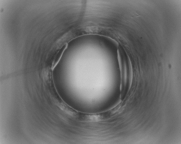 X0000077350233200610201332