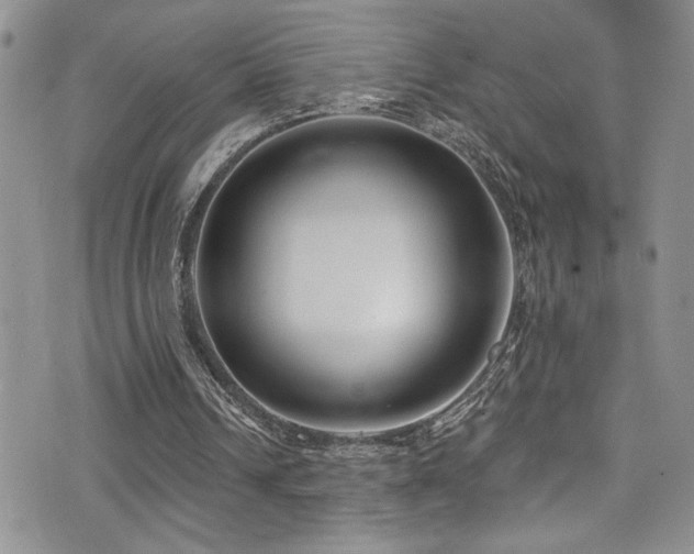 X0000077350242200610201332