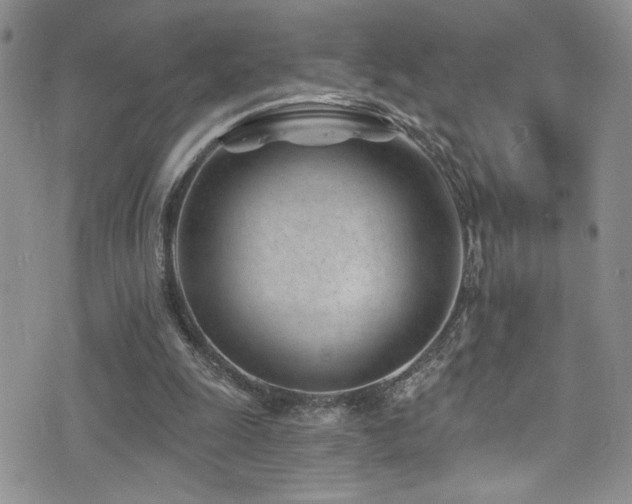 X0000077350247200610201332