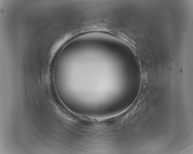 X0000077350248200610201332