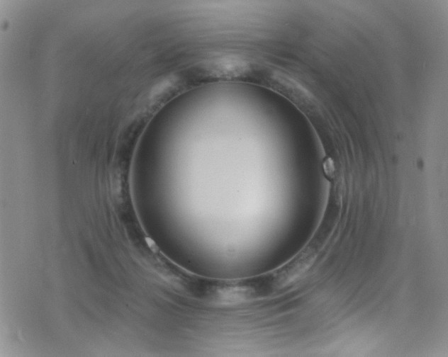 X0000077350268200610201332