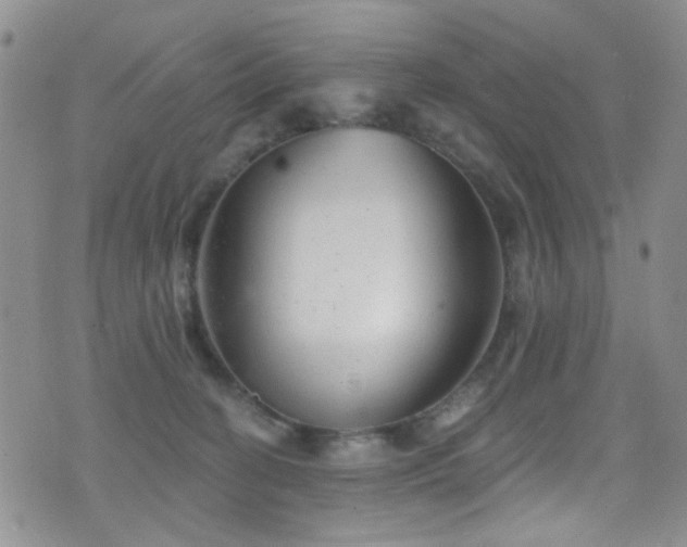 X0000077350274200610201332