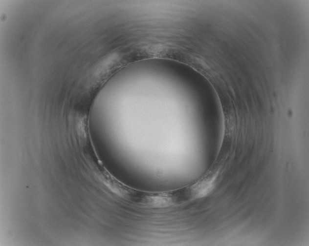 X0000077350286200610201332