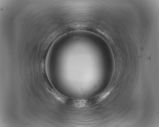 X0000077350288200610201332