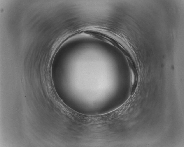 X0000077350289200610201332