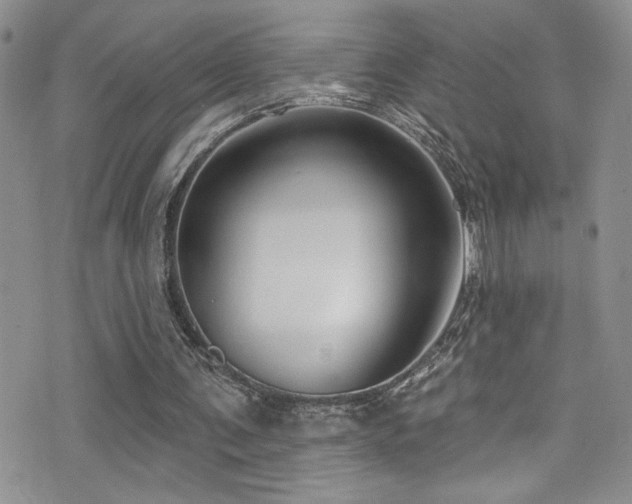X0000077350291200610201332