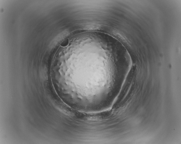 X0000077350303200610201331