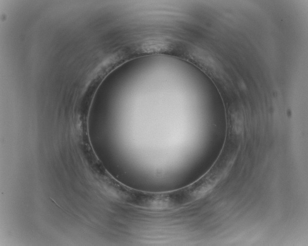 X0000077350308200610201331