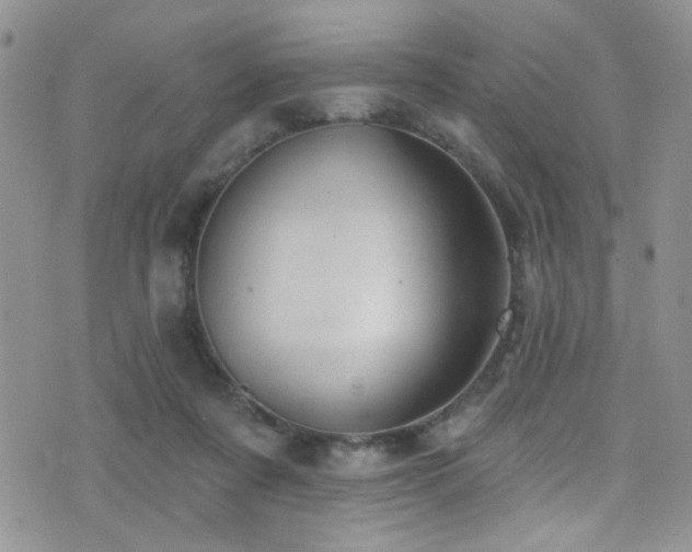 X0000077350311200610201331