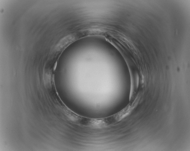 X0000077350333200610201331