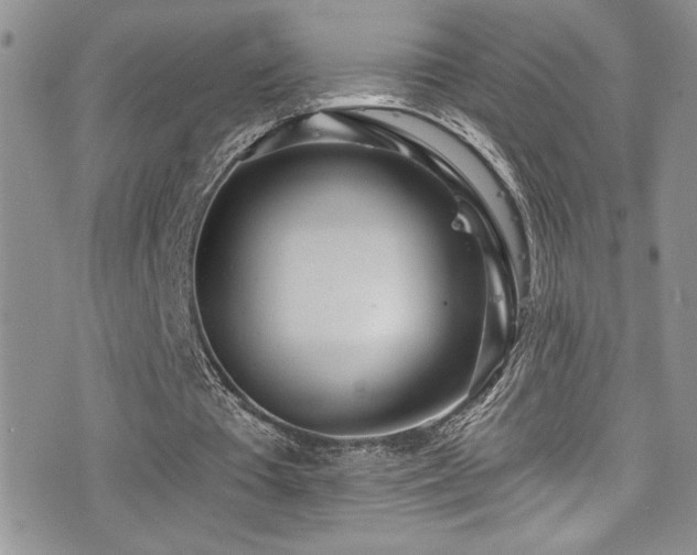 X0000077350385200610201330