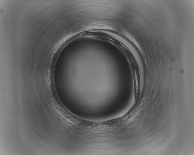 X0000077350387200610201330