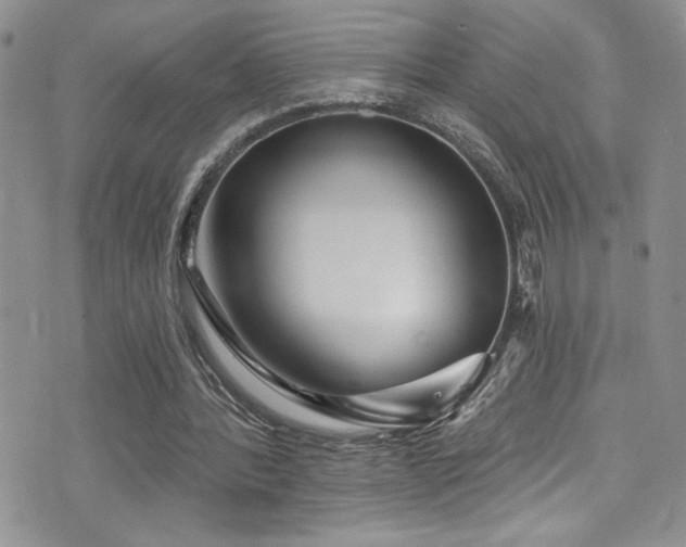 X0000077350388200610201330