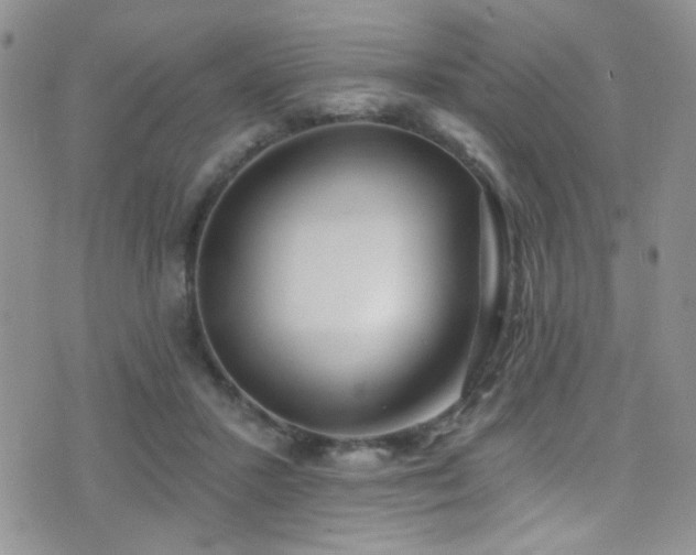 X0000077350407200610201330