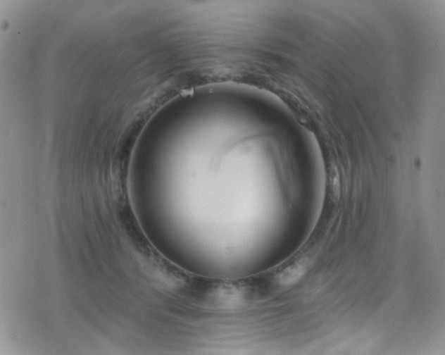 X0000077350416200610201329