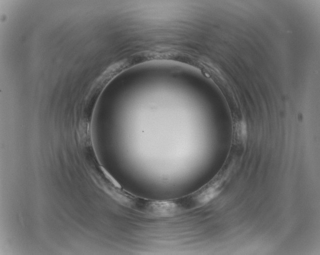 X0000077350429200610201329
