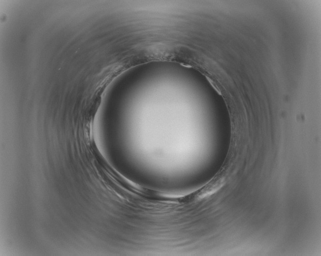 X0000077350432200610201329
