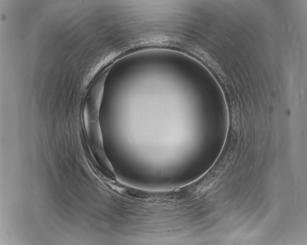 X0000077350434200610201328