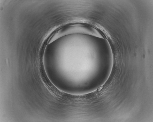 X0000077350436200610201328