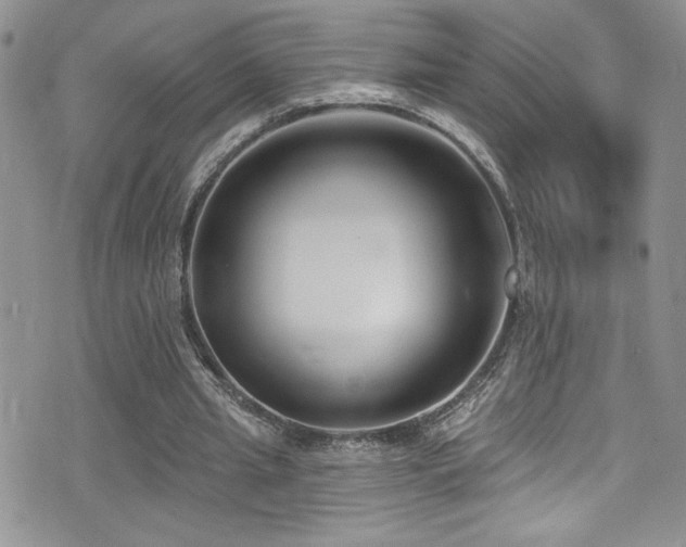 X0000077350437200610201329