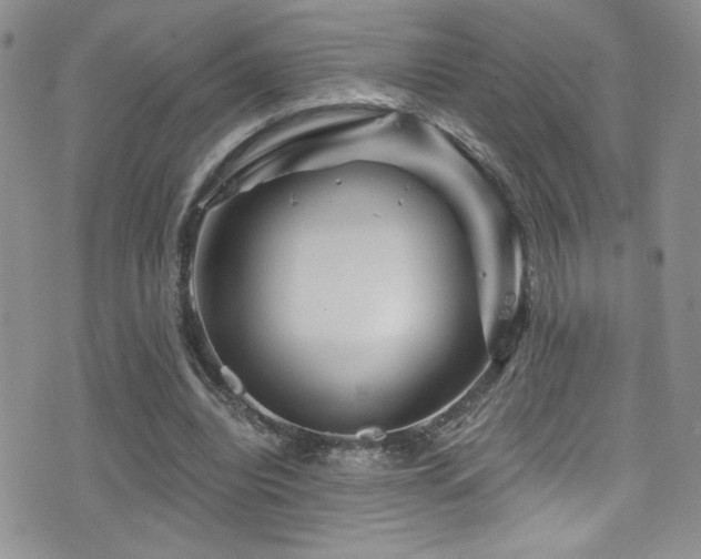 X0000077350440200610201329
