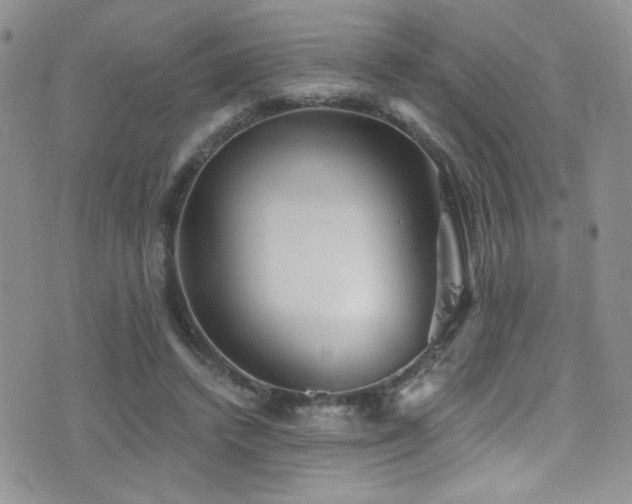 X0000077350448200610201329