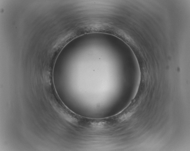 X0000077350450200610201329