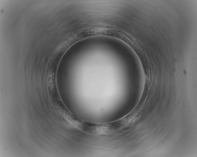 X0000077350462200610201329