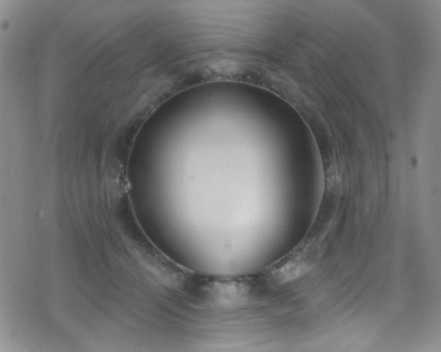 X0000077350464200610201329