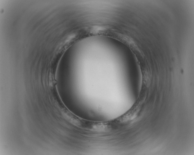 X0000077350470200610201329