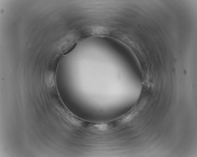 X0000077350478200610201329